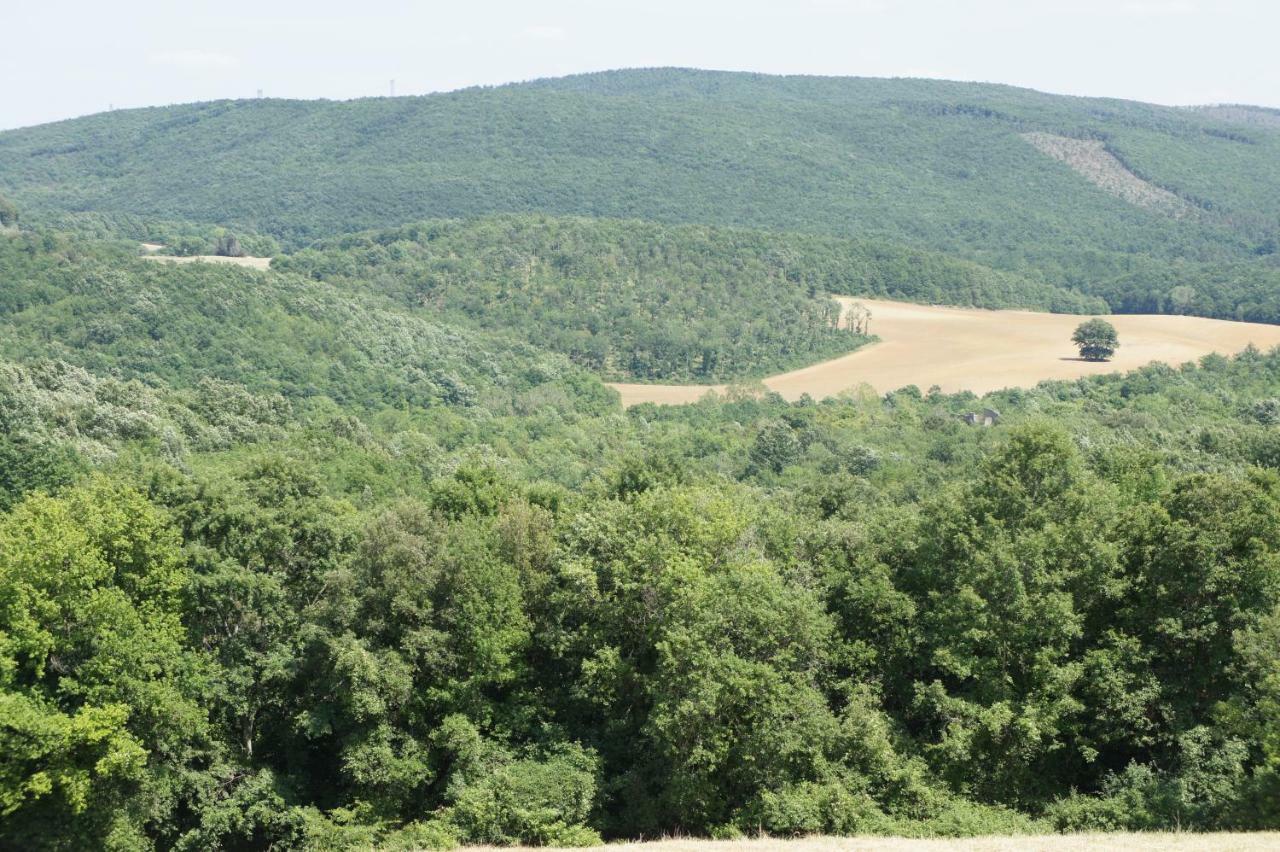 Villa Borgo la Fungaia Gambassi Terme Esterno foto